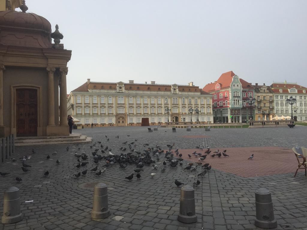 Apartament Lux Unirii Timisoara Bagian luar foto