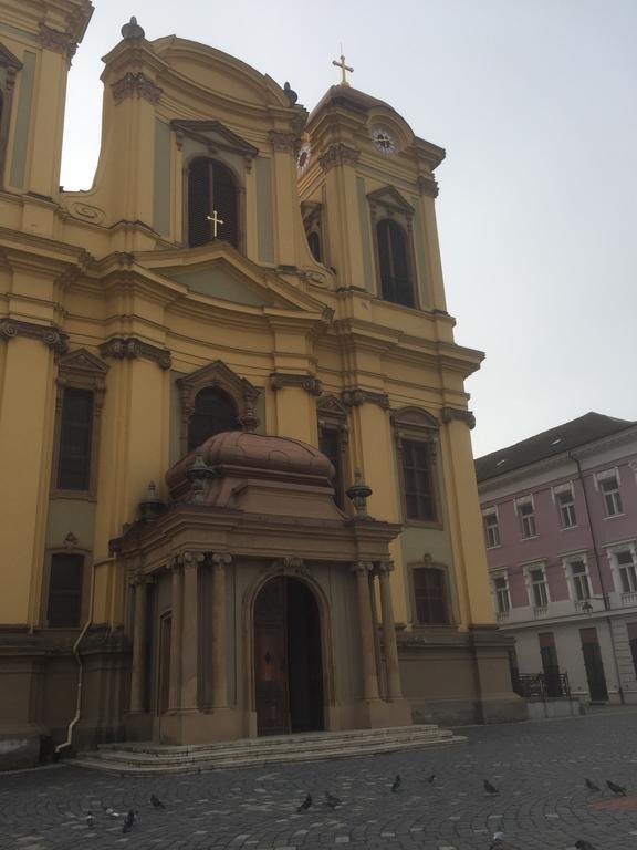 Apartament Lux Unirii Timisoara Bagian luar foto